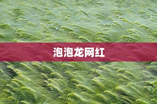 泡泡龙网红