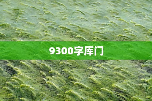 9300字库门