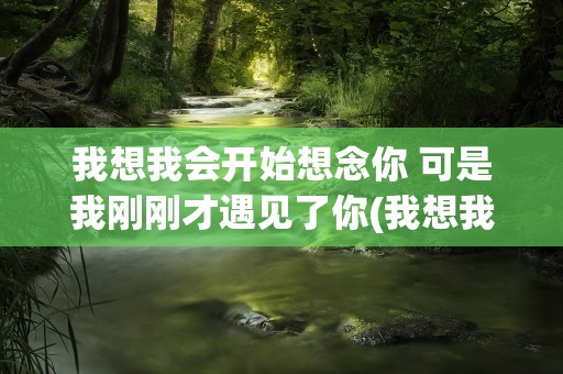 我想我会开始想念你 可是我刚刚才遇见了你(我想我会开始想念你可是我刚刚才遇见了你)