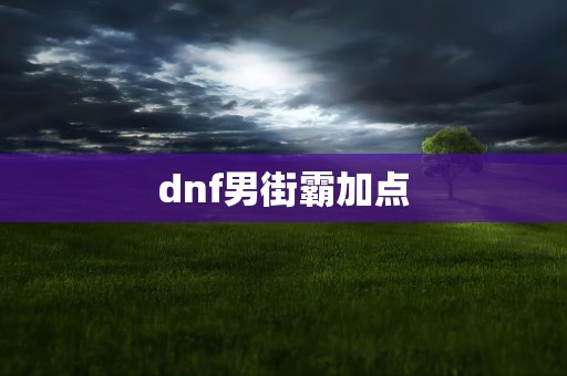 dnf男街霸加点