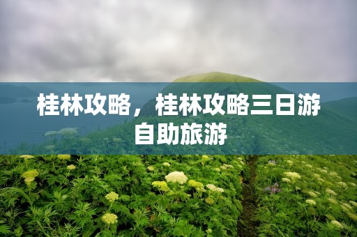 桂林攻略，桂林攻略三日游自助旅游