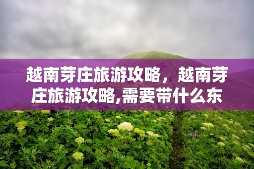 越南芽庄旅游攻略，越南芽庄旅游攻略,需要带什么东西?