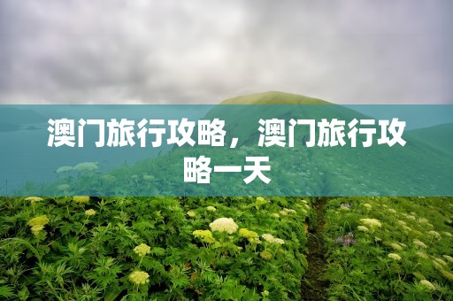 澳门旅行攻略，澳门旅行攻略一天