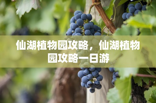 仙湖植物园攻略，仙湖植物园攻略一日游