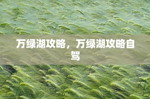 万绿湖攻略，万绿湖攻略自驾