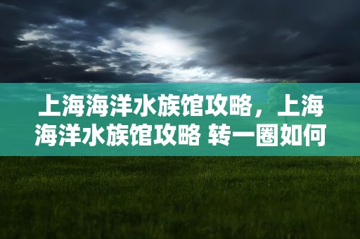 上海海洋水族馆攻略，上海海洋水族馆攻略 转一圈如何再回去