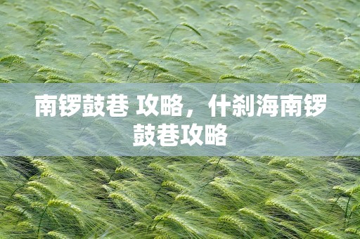 南锣鼓巷 攻略，什刹海南锣鼓巷攻略