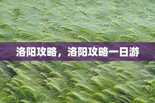 洛阳攻略，洛阳攻略一日游