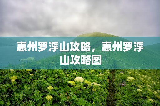 惠州罗浮山攻略，惠州罗浮山攻略图