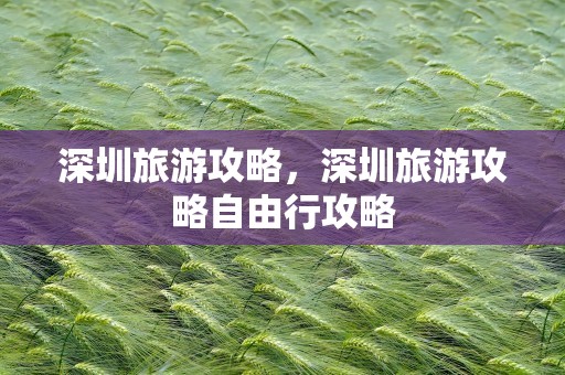 深圳旅游攻略，深圳旅游攻略自由行攻略