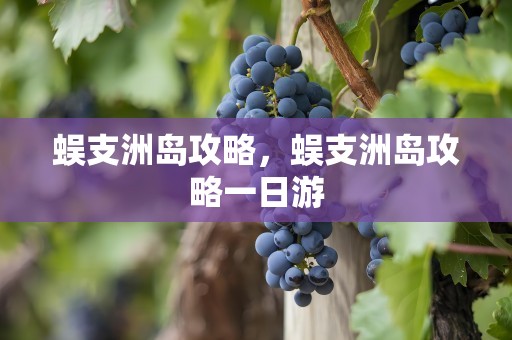 蜈支洲岛攻略，蜈支洲岛攻略一日游