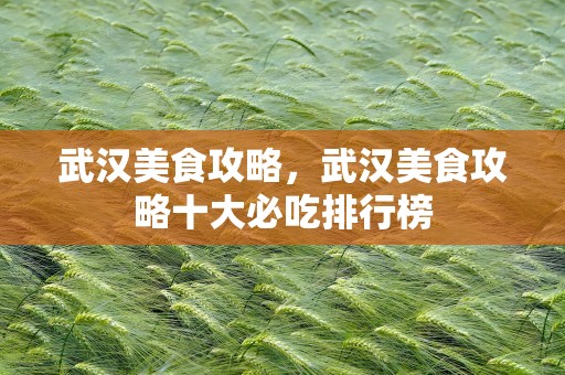 武汉美食攻略，武汉美食攻略十大必吃排行榜