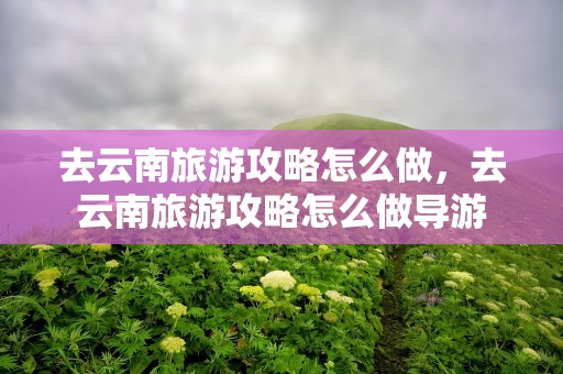 去云南旅游攻略怎么做，去云南旅游攻略怎么做导游