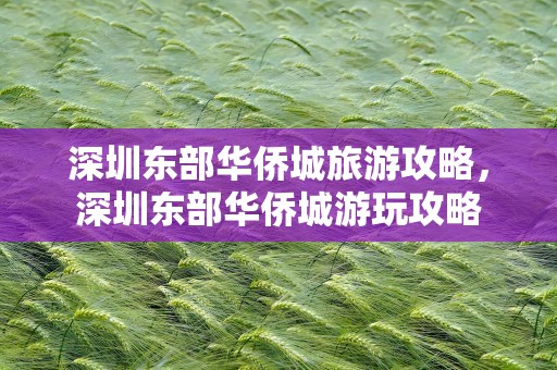 深圳东部华侨城旅游攻略，深圳东部华侨城游玩攻略