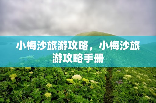 小梅沙旅游攻略，小梅沙旅游攻略手册