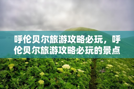 呼伦贝尔旅游攻略必玩，呼伦贝尔旅游攻略必玩的景点