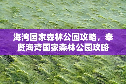 海湾国家森林公园攻略，奉贤海湾国家森林公园攻略