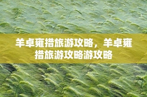 羊卓雍措旅游攻略，羊卓雍措旅游攻略游攻略