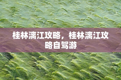 桂林漓江攻略，桂林漓江攻略自驾游