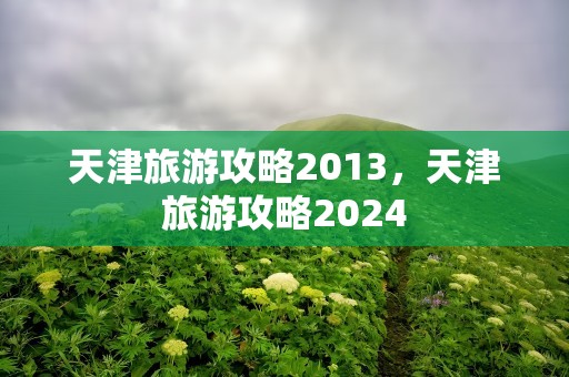 天津旅游攻略2013，天津旅游攻略2024