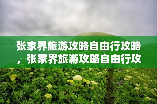 张家界旅游攻略自由行攻略，张家界旅游攻略自由行攻略门票