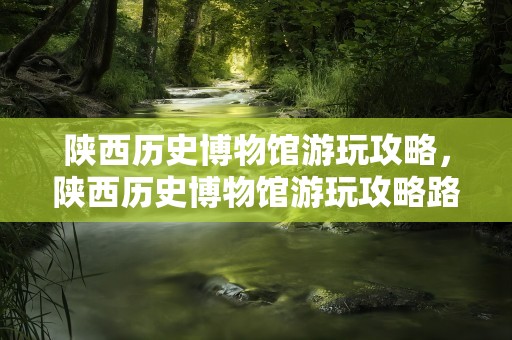 陕西历史博物馆游玩攻略，陕西历史博物馆游玩攻略路线