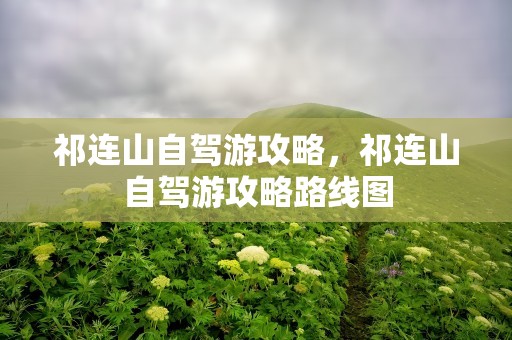 祁连山自驾游攻略，祁连山自驾游攻略路线图