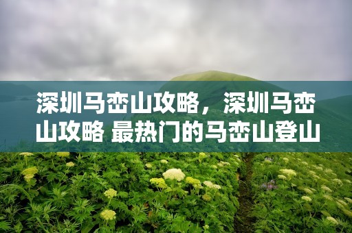 深圳马峦山攻略，深圳马峦山攻略 最热门的马峦山登山路线