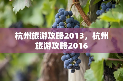 杭州旅游攻略2013，杭州旅游攻略2016