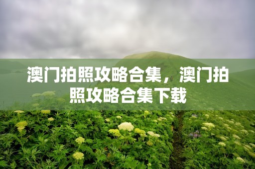 澳门拍照攻略合集，澳门拍照攻略合集下载