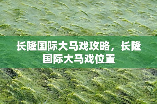 长隆国际大马戏攻略，长隆国际大马戏位置