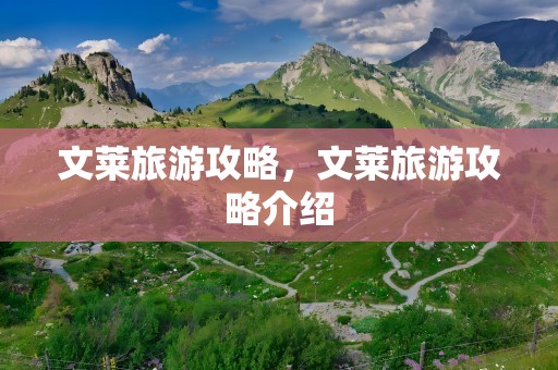 文莱旅游攻略，文莱旅游攻略介绍