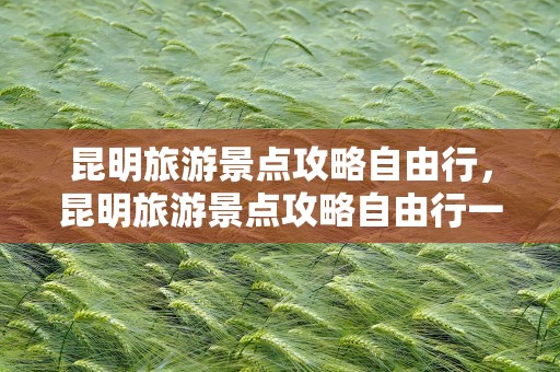 昆明旅游景点攻略自由行，昆明旅游景点攻略自由行一日