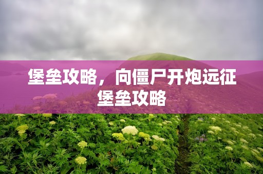 堡垒攻略，向僵尸开炮远征堡垒攻略