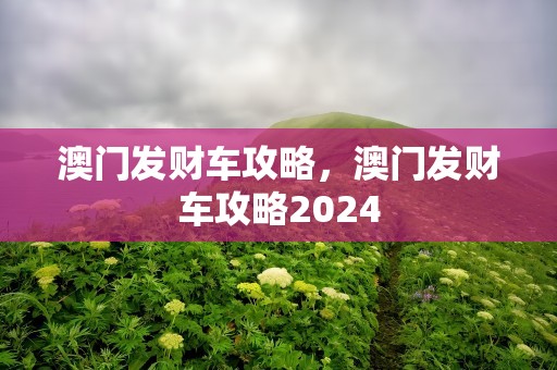 澳门发财车攻略，澳门发财车攻略2024