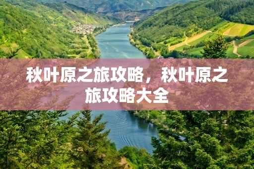 秋叶原之旅攻略，秋叶原之旅攻略大全