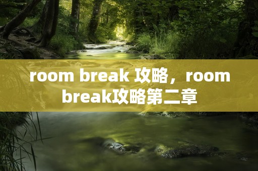 room break 攻略，roombreak攻略第二章