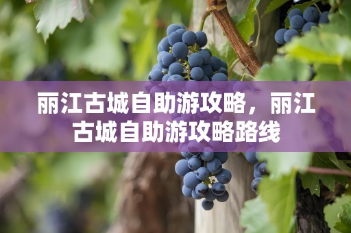 丽江古城自助游攻略，丽江古城自助游攻略路线