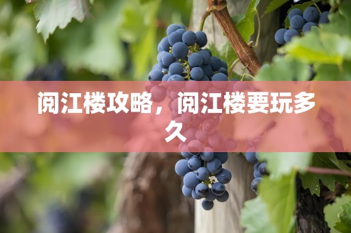 阅江楼攻略，阅江楼要玩多久