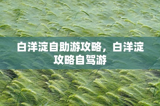 白洋淀自助游攻略，白洋淀攻略自驾游