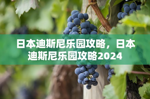 日本迪斯尼乐园攻略，日本迪斯尼乐园攻略2024