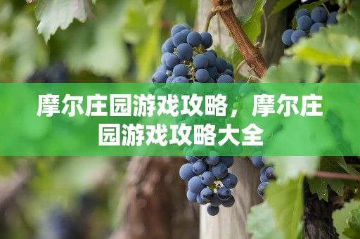 摩尔庄园游戏攻略，摩尔庄园游戏攻略大全