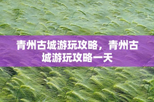 青州古城游玩攻略，青州古城游玩攻略一天