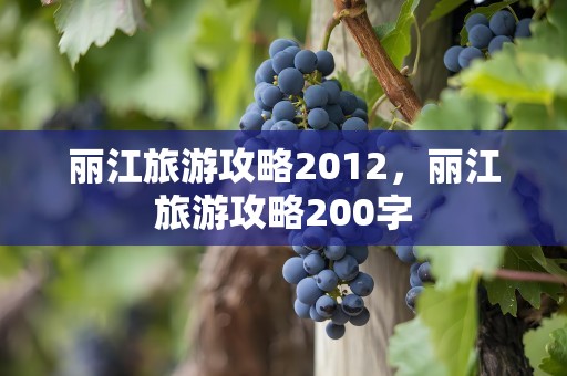 丽江旅游攻略2012，丽江旅游攻略200字