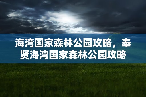 海湾国家森林公园攻略，奉贤海湾国家森林公园攻略