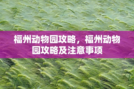 福州动物园攻略，福州动物园攻略及注意事项