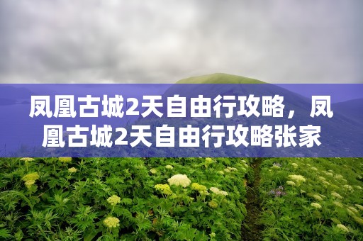 凤凰古城2天自由行攻略，凤凰古城2天自由行攻略张家界到郴州的高铁吗