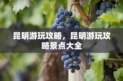 昆明游玩攻略，昆明游玩攻略景点大全