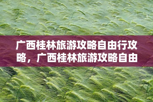 广西桂林旅游攻略自由行攻略，广西桂林旅游攻略自由行攻略蝴蝶泉