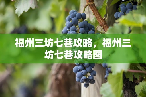 福州三坊七巷攻略，福州三坊七巷攻略图